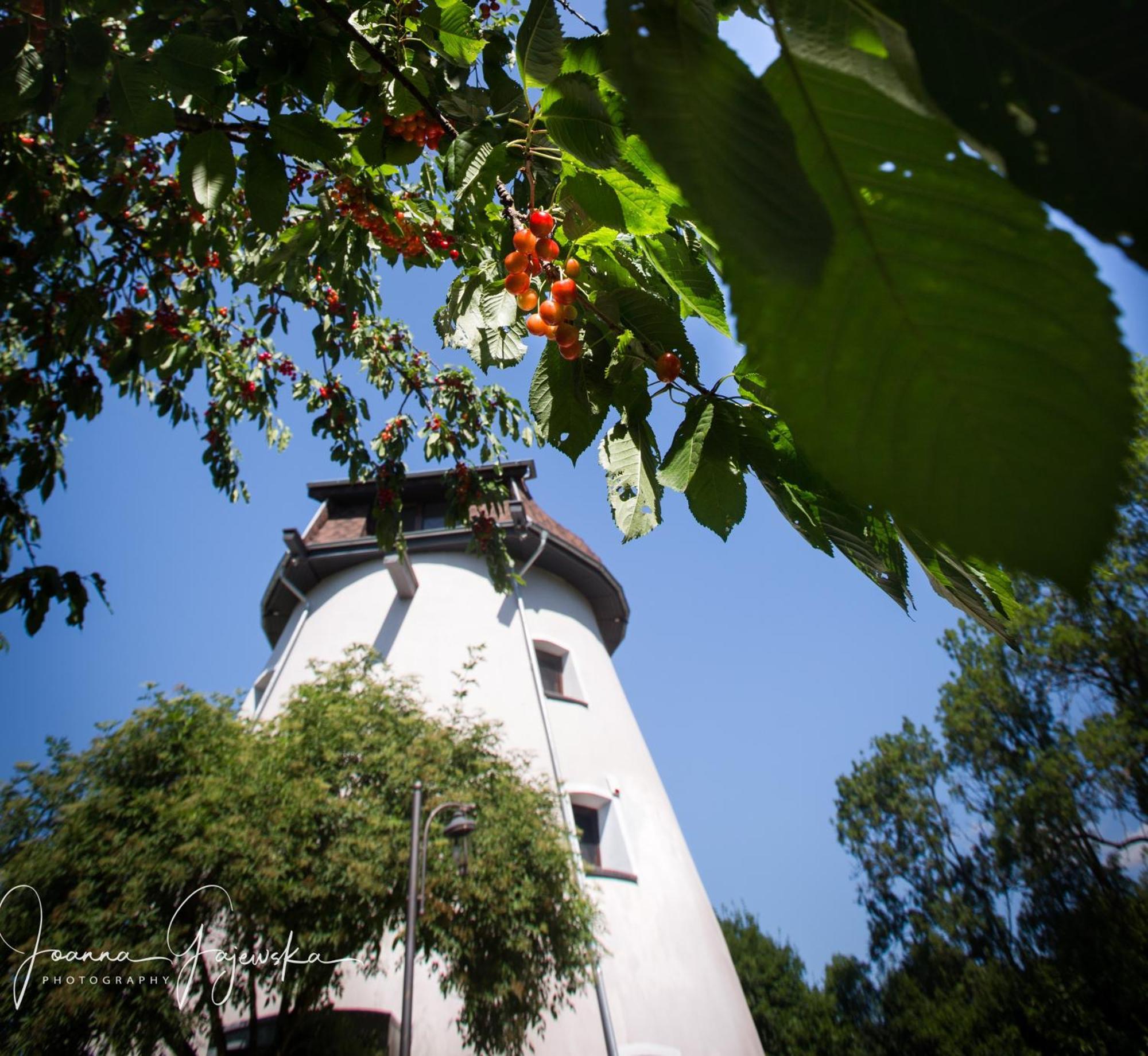 Dom Wakacyjny - Wiatrak Holenderski Na Mazurach Villa รึน ภายนอก รูปภาพ